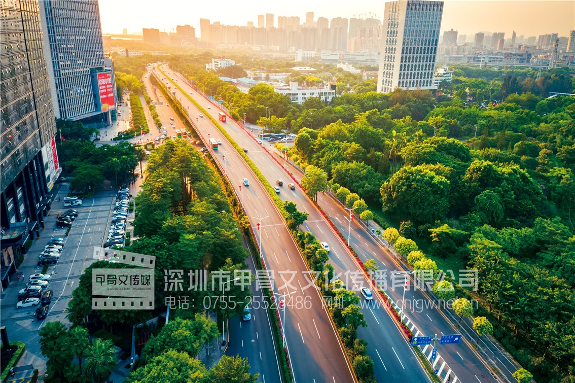 宝安大道-深南路连接段市政工程目2019年9月24日-0977.jpg